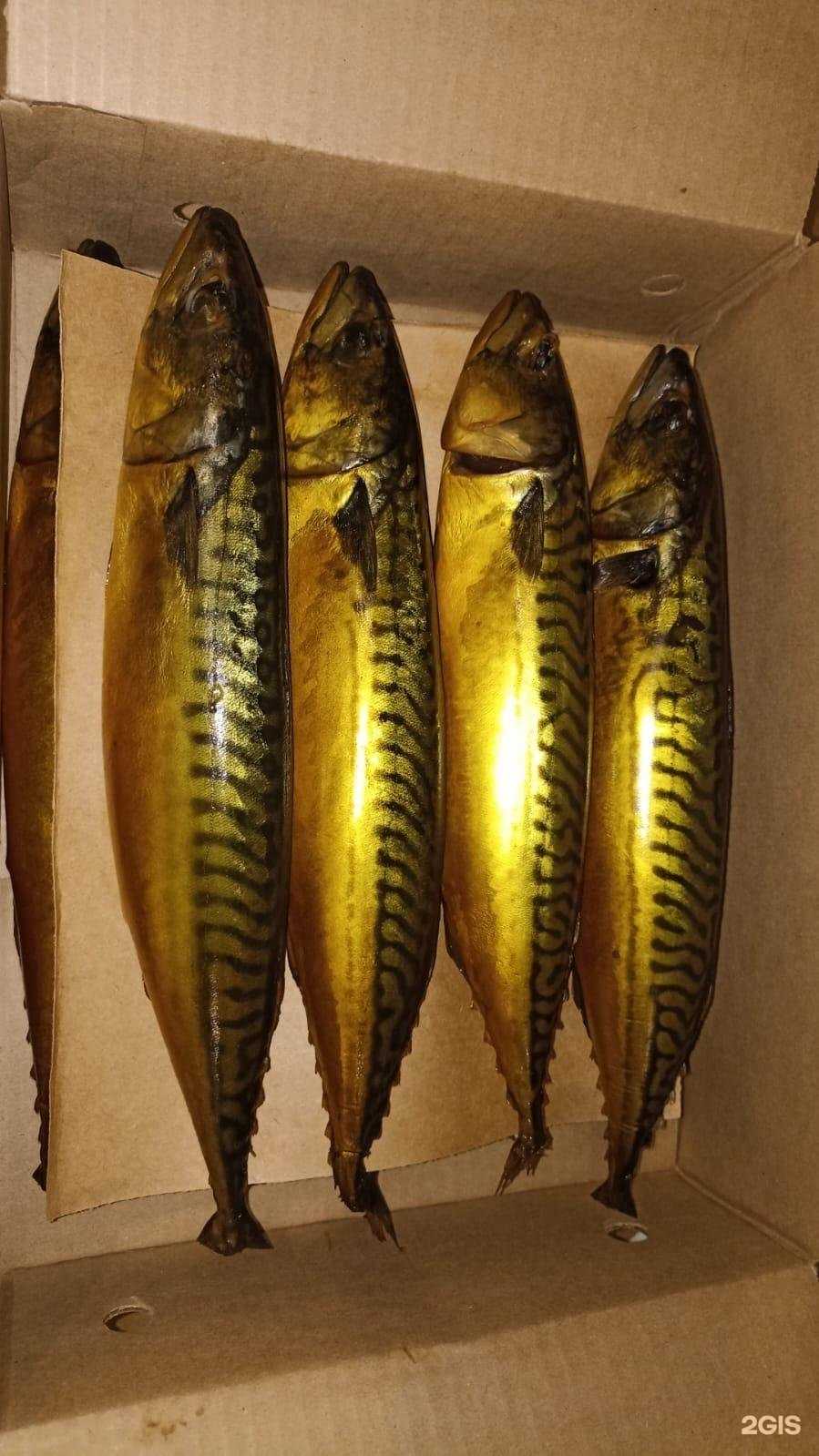 Отзывы на компанию Рыба из Владивостока в Иркутске c фото