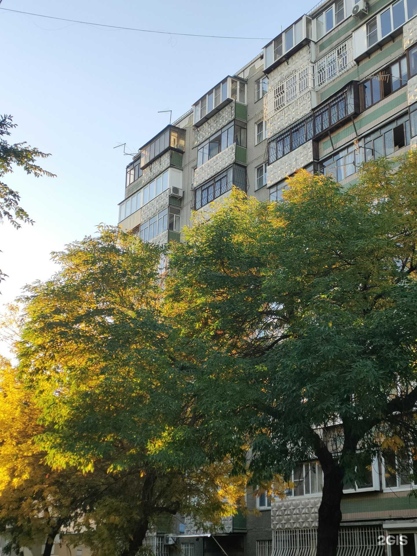 Отзывы на компанию Скиф в Челябинске c фото - фотография 2 из 2