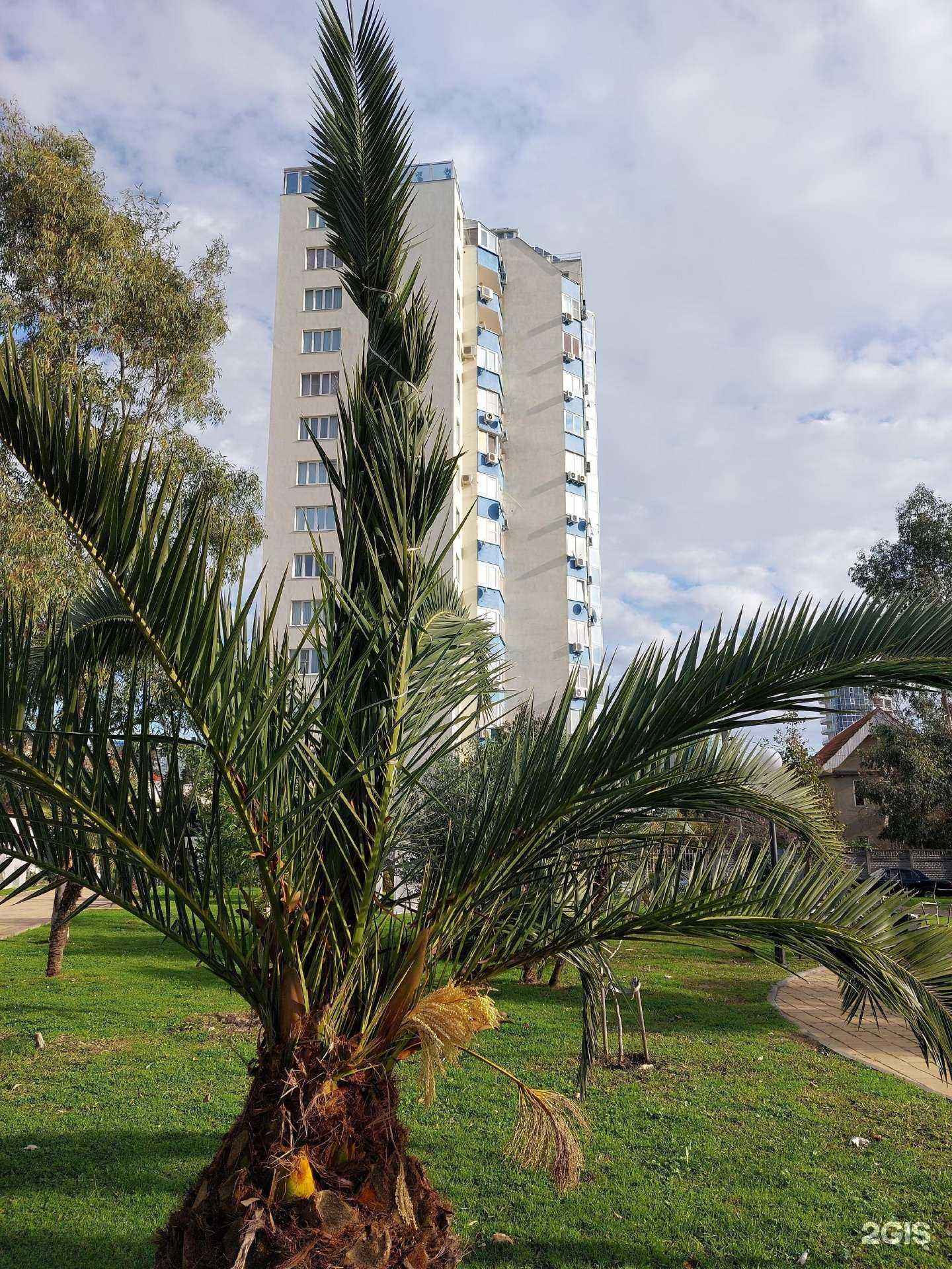 Отзывы на компанию Здоровье в Сочи c фото - фотография 2 из 2