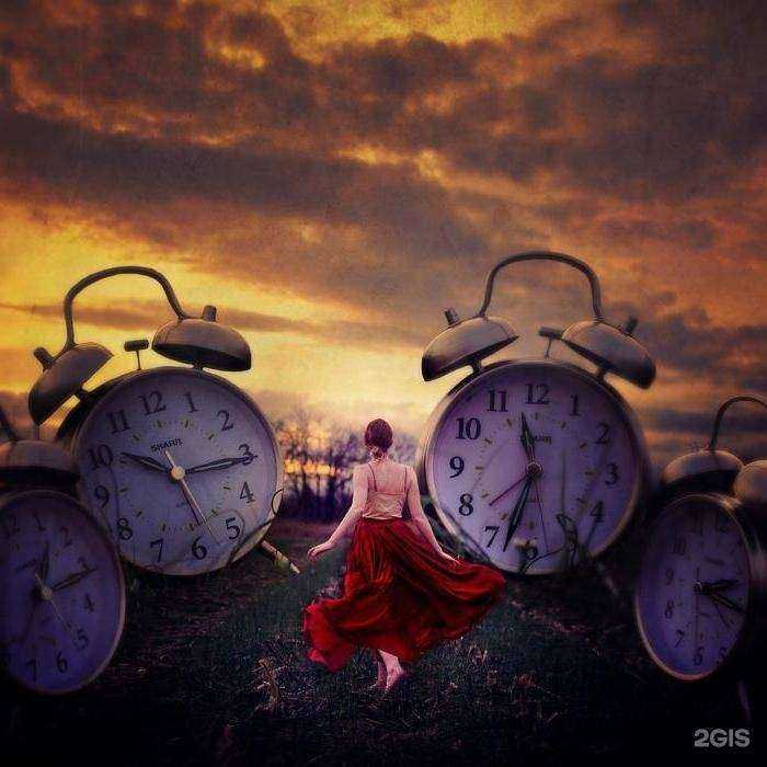 Отзывы на компанию Дельфин в г. Солнечногорск c фото