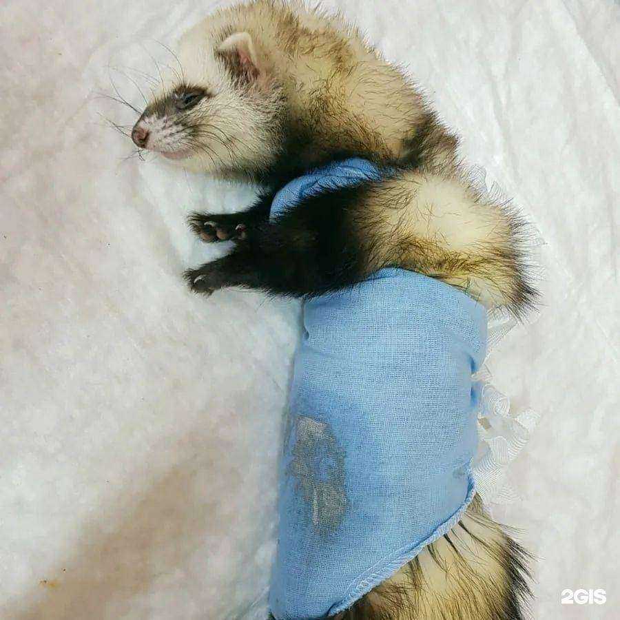 Отзывы на компанию ИветА в г. Тейково c фото