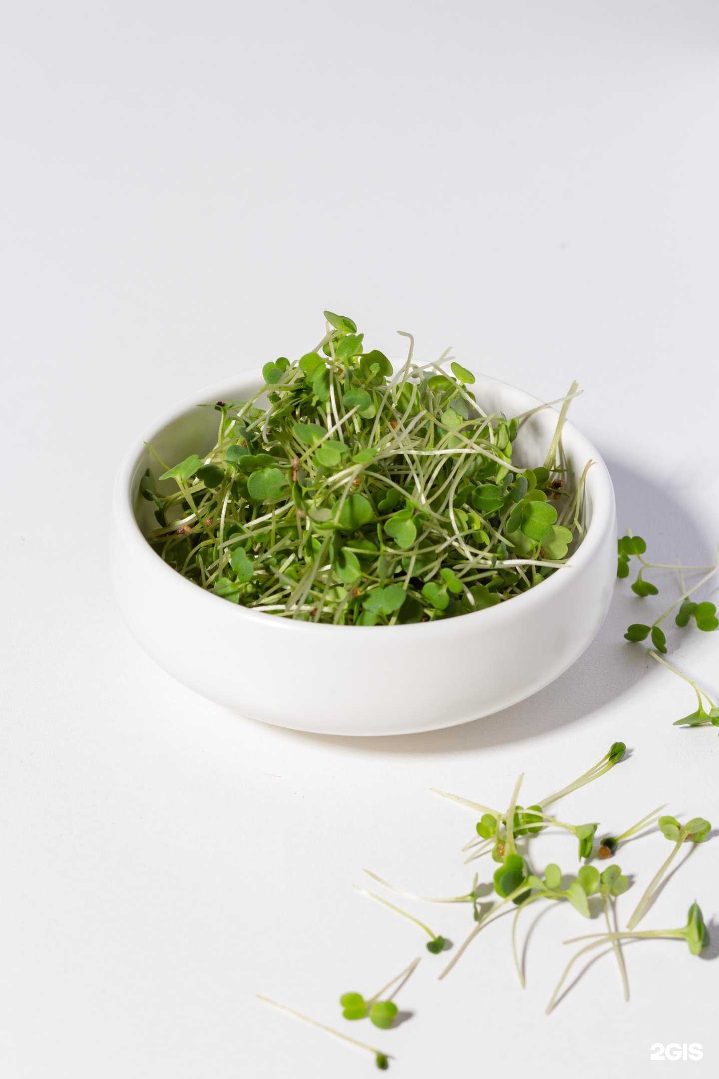 Отзывы на компанию Microgreen kms в г. Комсомольск-на-Амуре c фото