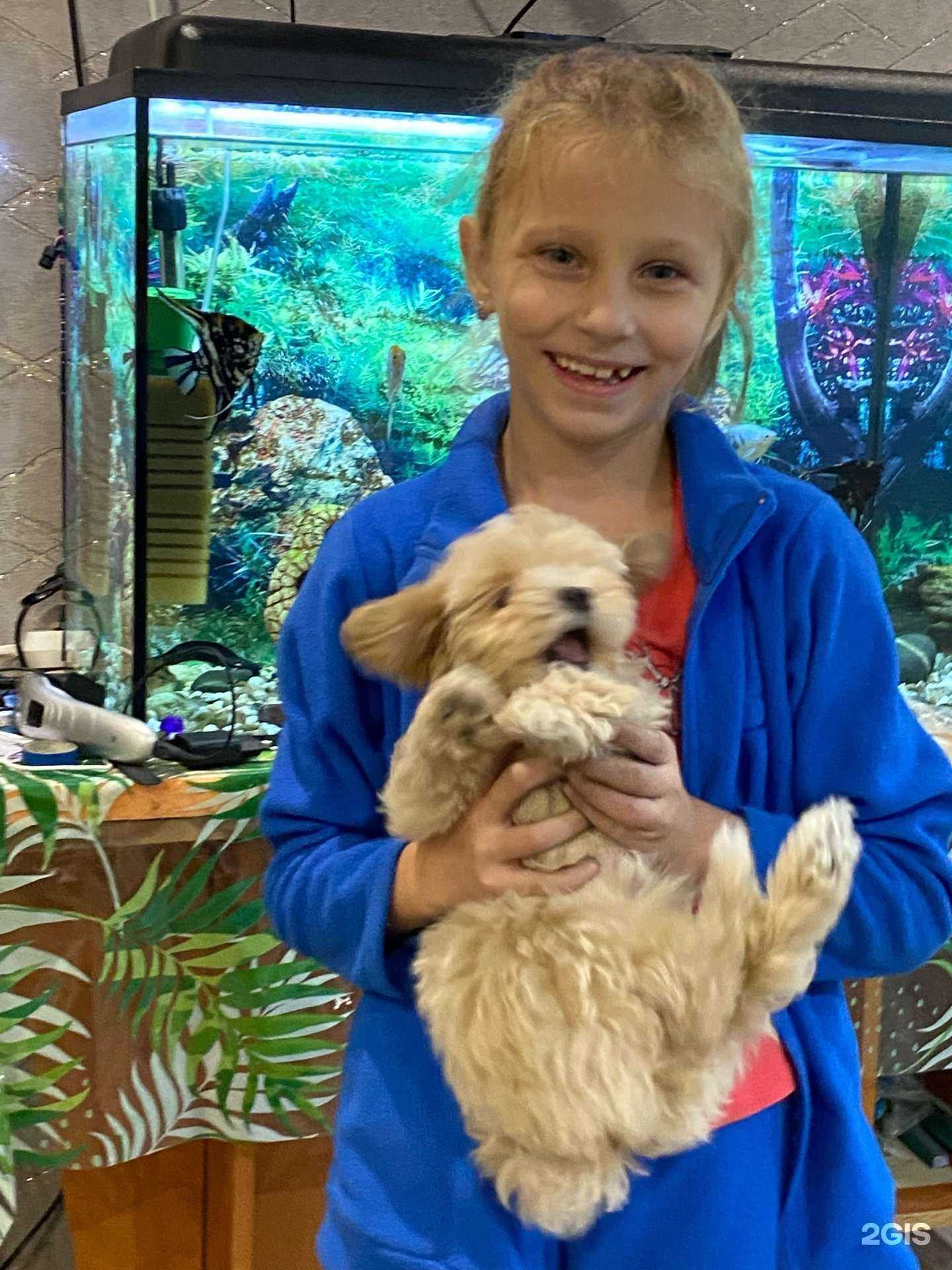 Отзывы на компанию Аргос в Новокузнецке c фото