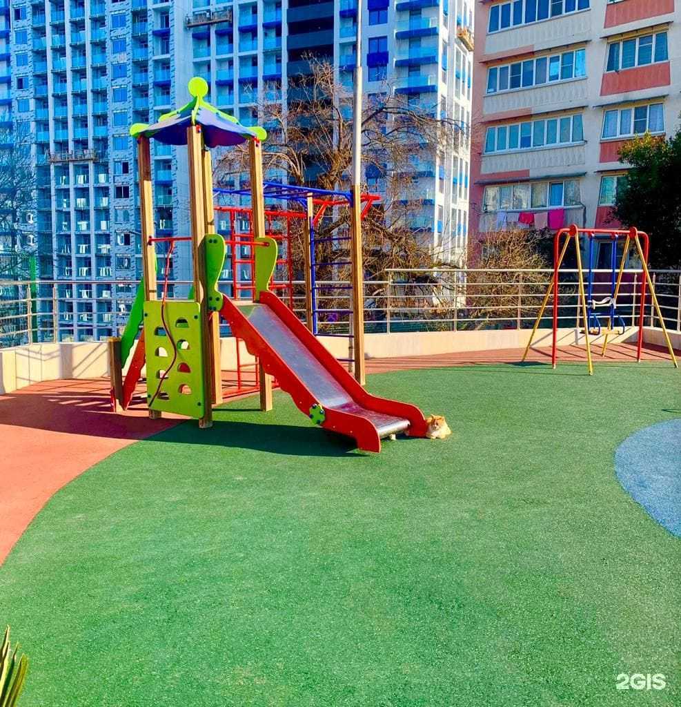 Отзывы на компанию Рейс в г. Сочи c фото