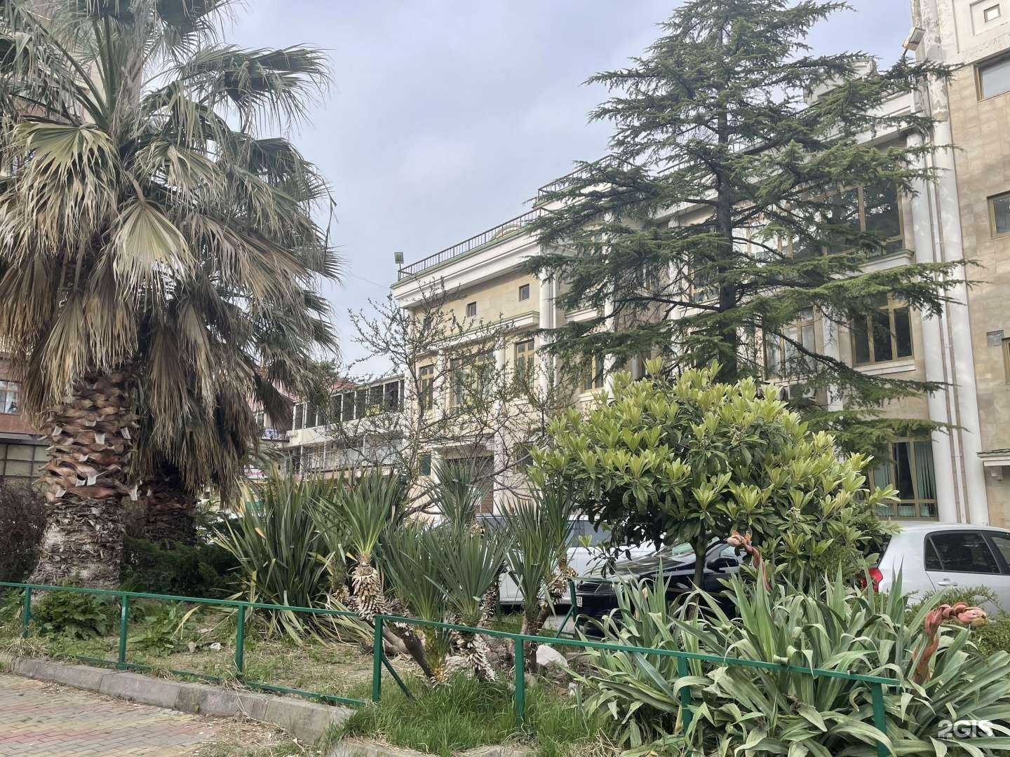 Отзывы на компанию Тавих в Сочи c фото - фотография 2 из 2