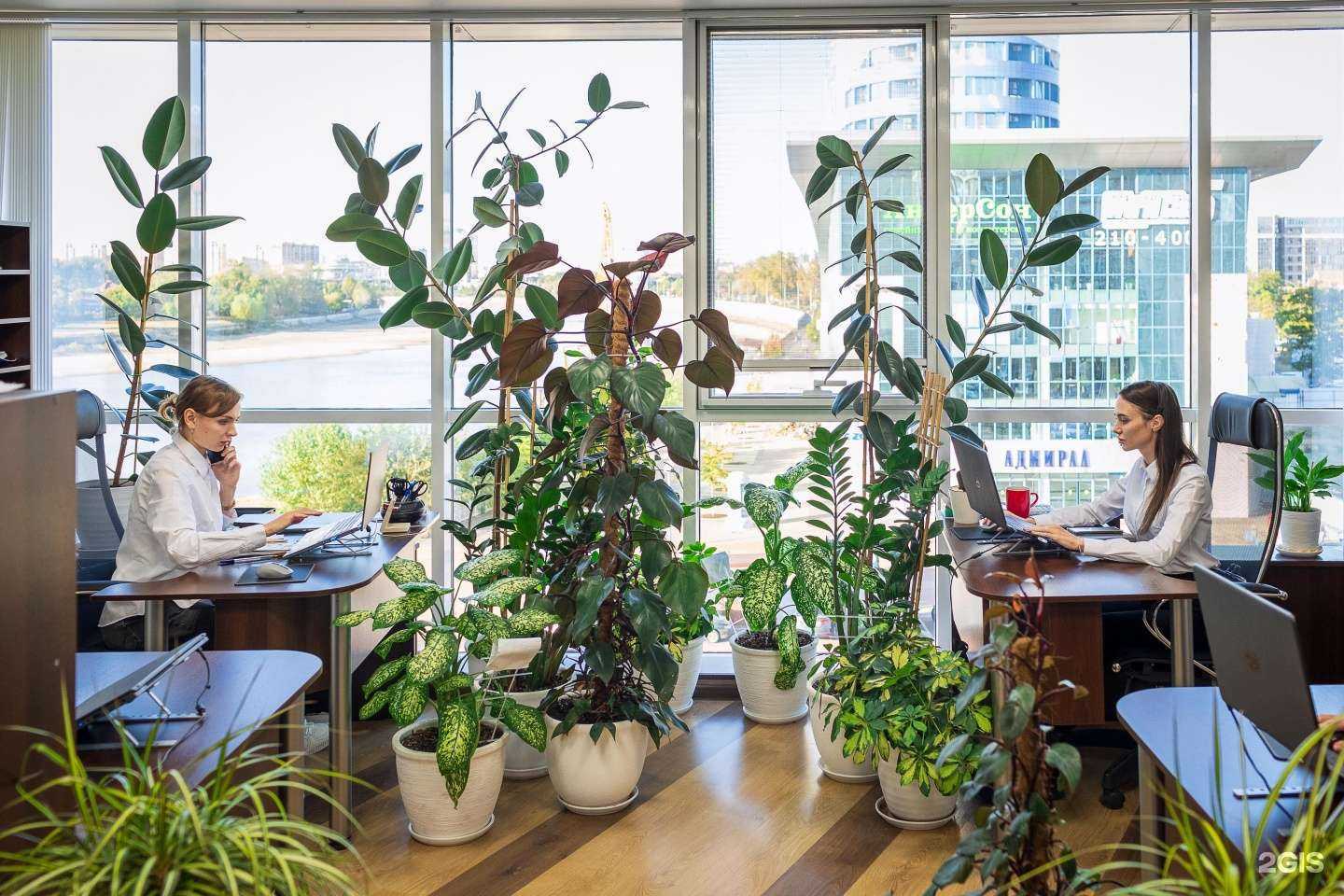 Отзывы на компанию Фонд Финансирования в Краснодаре c фото