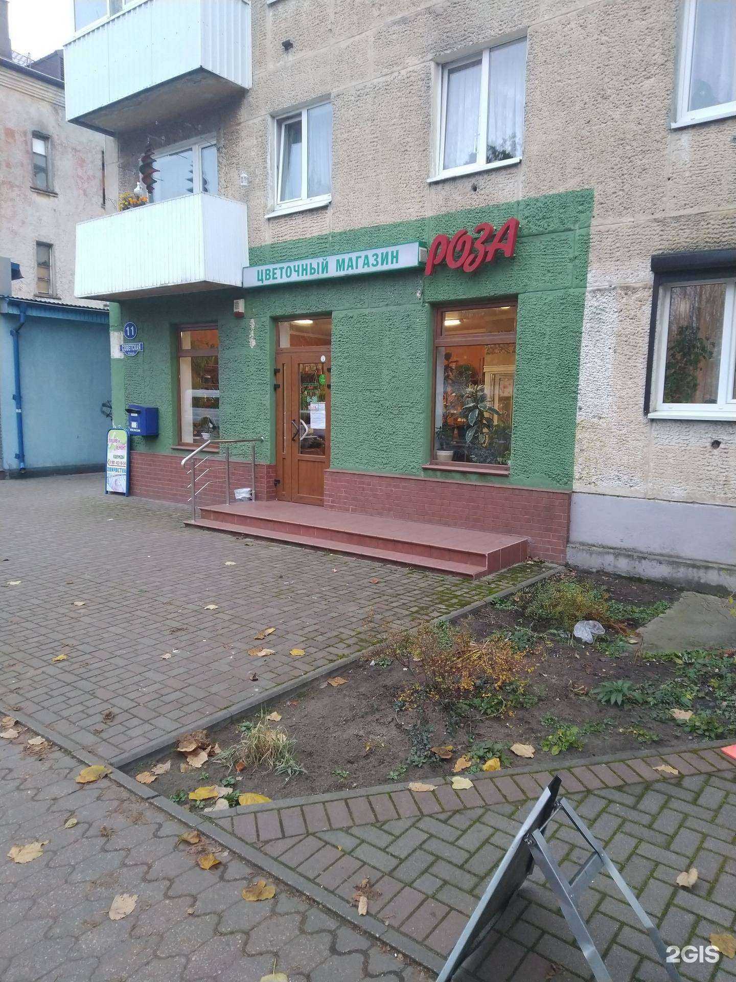 Отзывы на компанию Роза в г. Светлый c фото