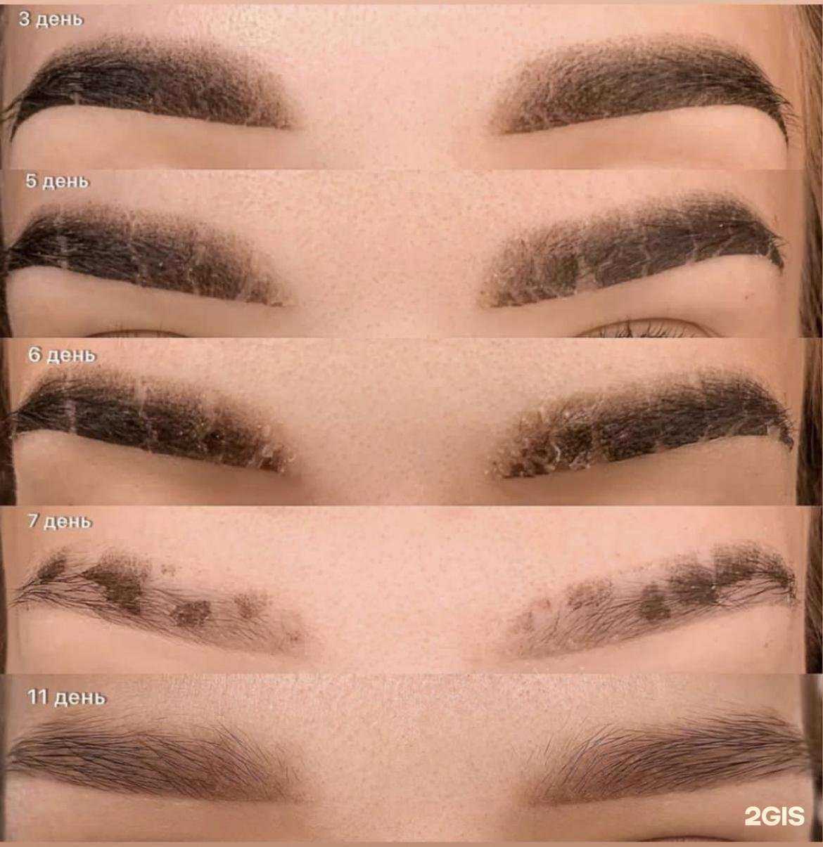 Отзывы на компанию Лиса в Краснодаре c фото