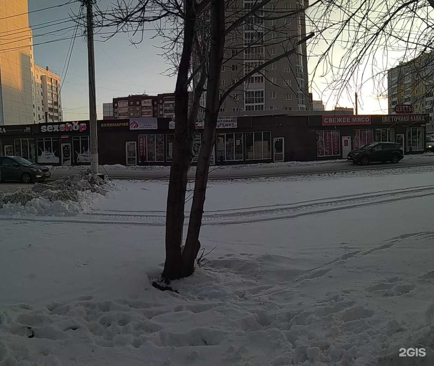 Отзывы на компанию ВертиХвостики в Магнитогорске c фото - фотография 2 из 2