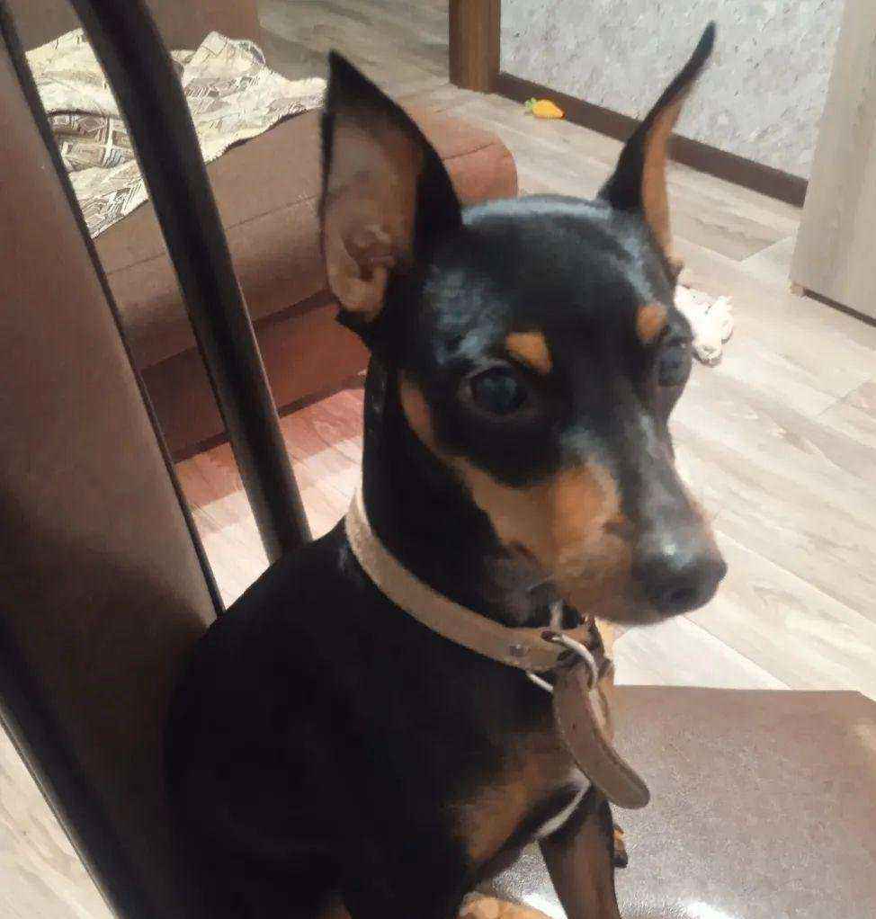 Отзывы на компанию Бриз в Сочи c фото