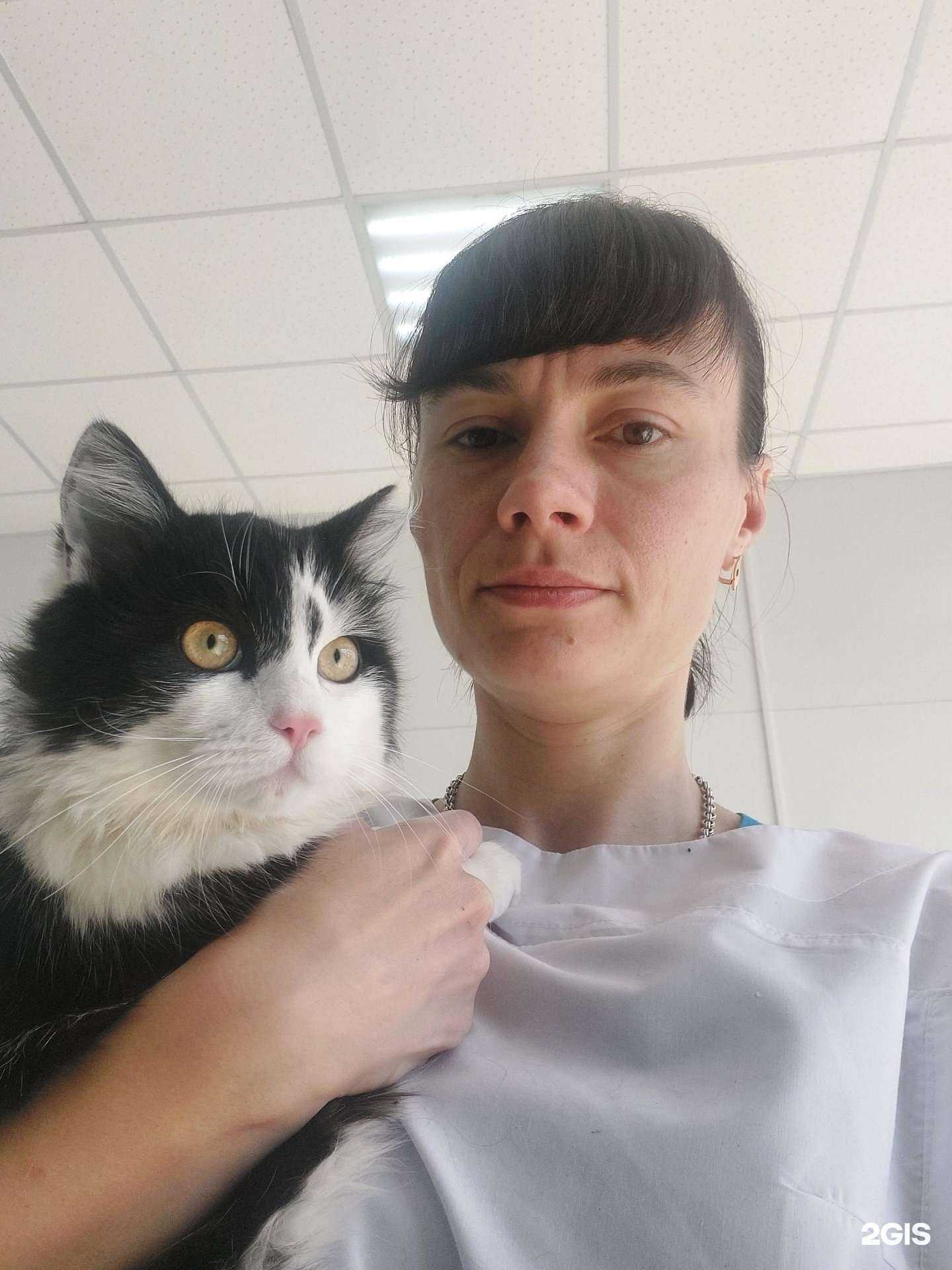 Отзывы на компанию Веселый кот в г. Краснодар c фото