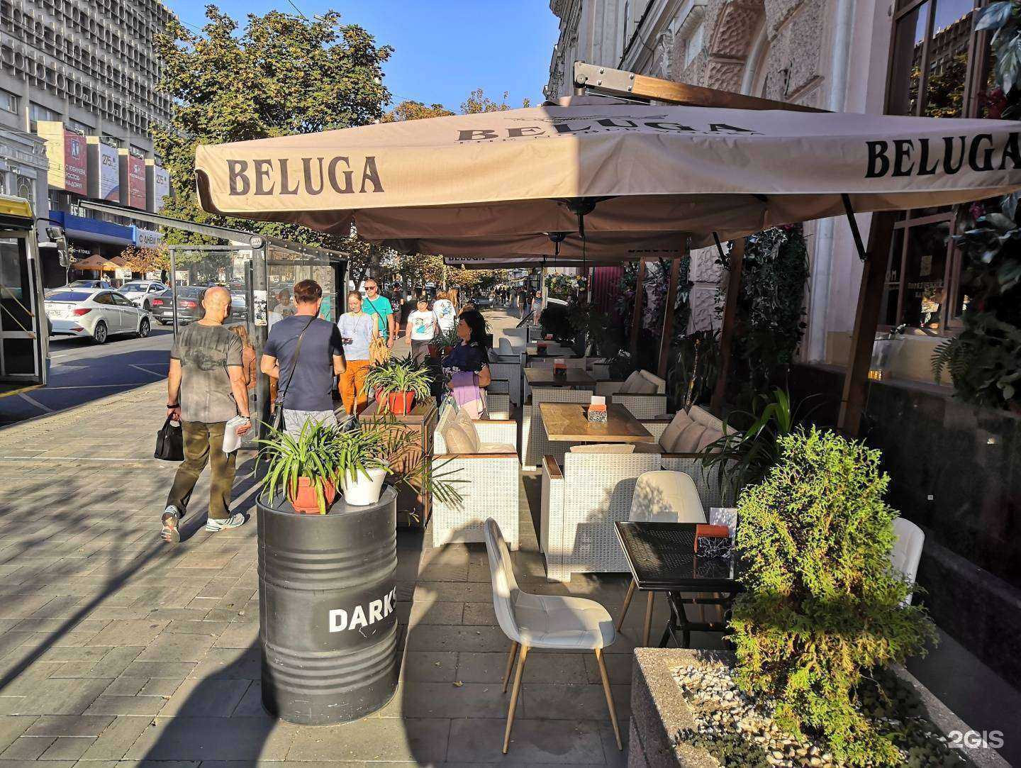 Отзывы на компанию Дом Культуры в г. Ростов-на-Дону c фото