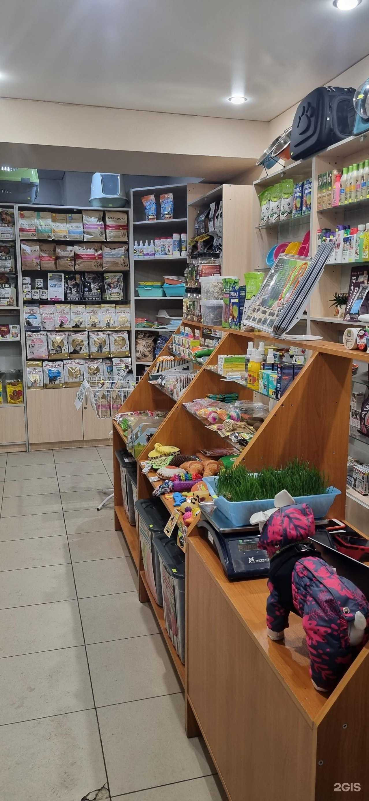 Отзывы на компанию Собаки-Барабаки в Туле c фото