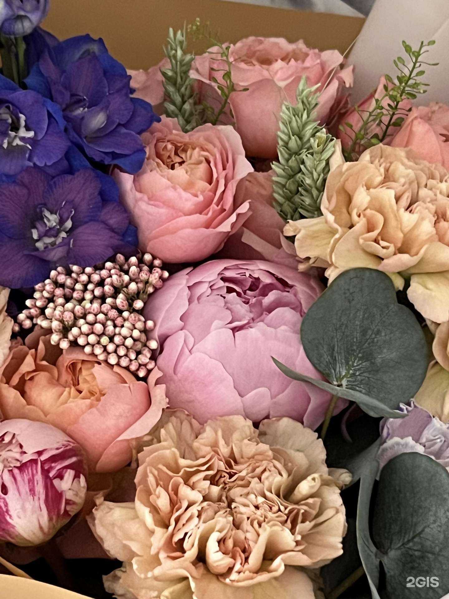 Отзывы на компанию Маки в Череповце c фото