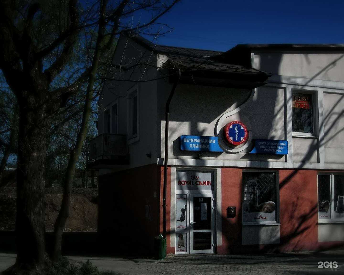 Отзывы на компанию Vet-39 в Калининграде c фото - фотография 2 из 2