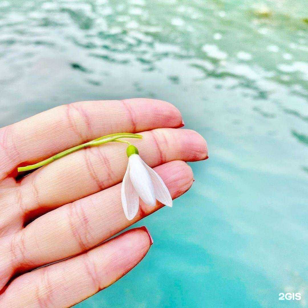 Отзывы на компанию Oxy.Travel в г. Самара c фото