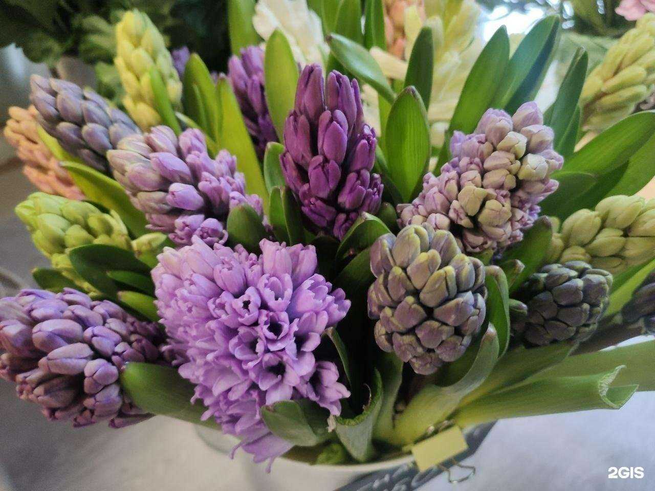 Отзывы на компанию Разноцветие в Калуге c фото