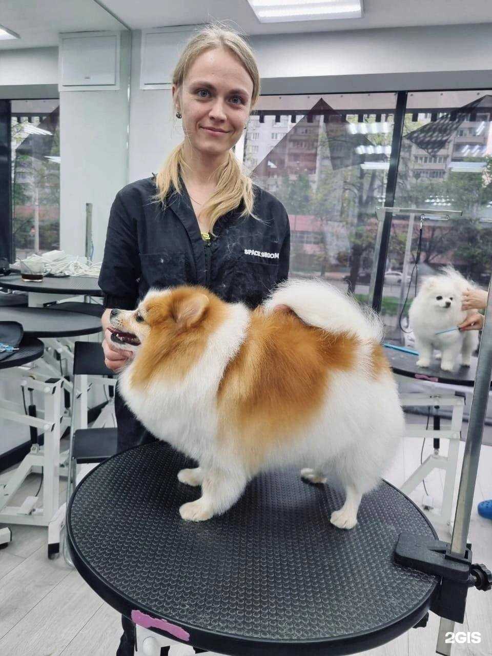 Отзывы на компанию Dog party в г. Сергиев Посад c фото