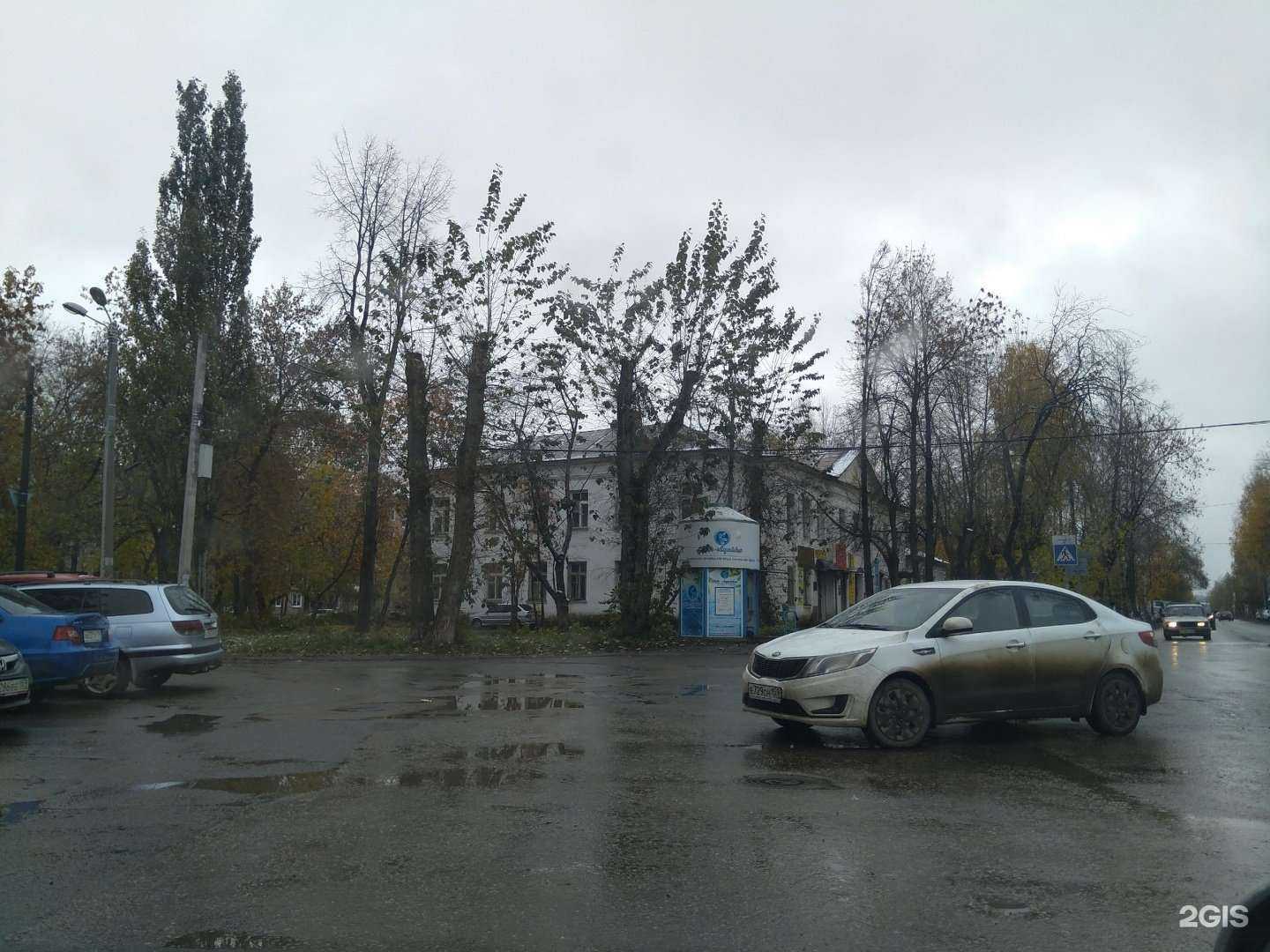 Отзывы на компанию Сад Огород-Грядка в Перми c фото - фотография 2 из 2