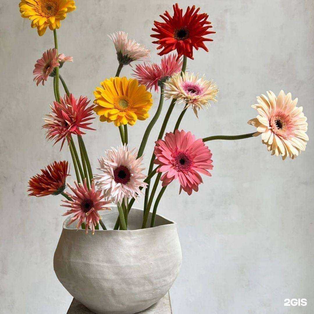 Отзывы на компанию Арбат в г. Грозный c фото