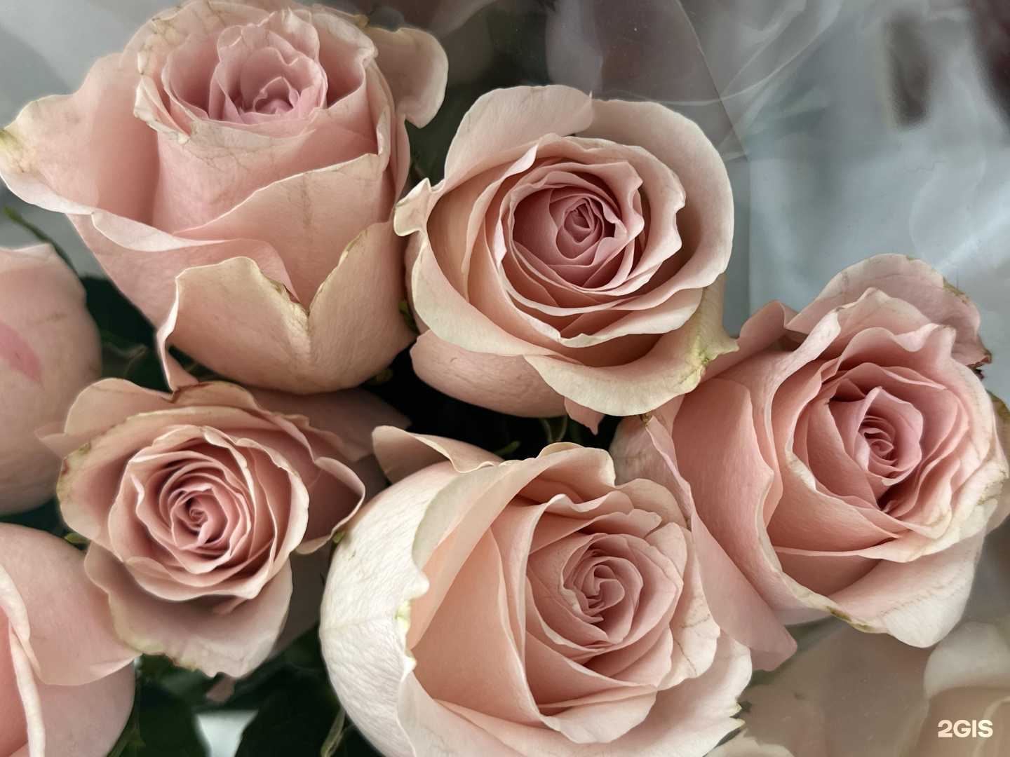 Отзывы на компанию Ваш Букет в г. Киров c фото