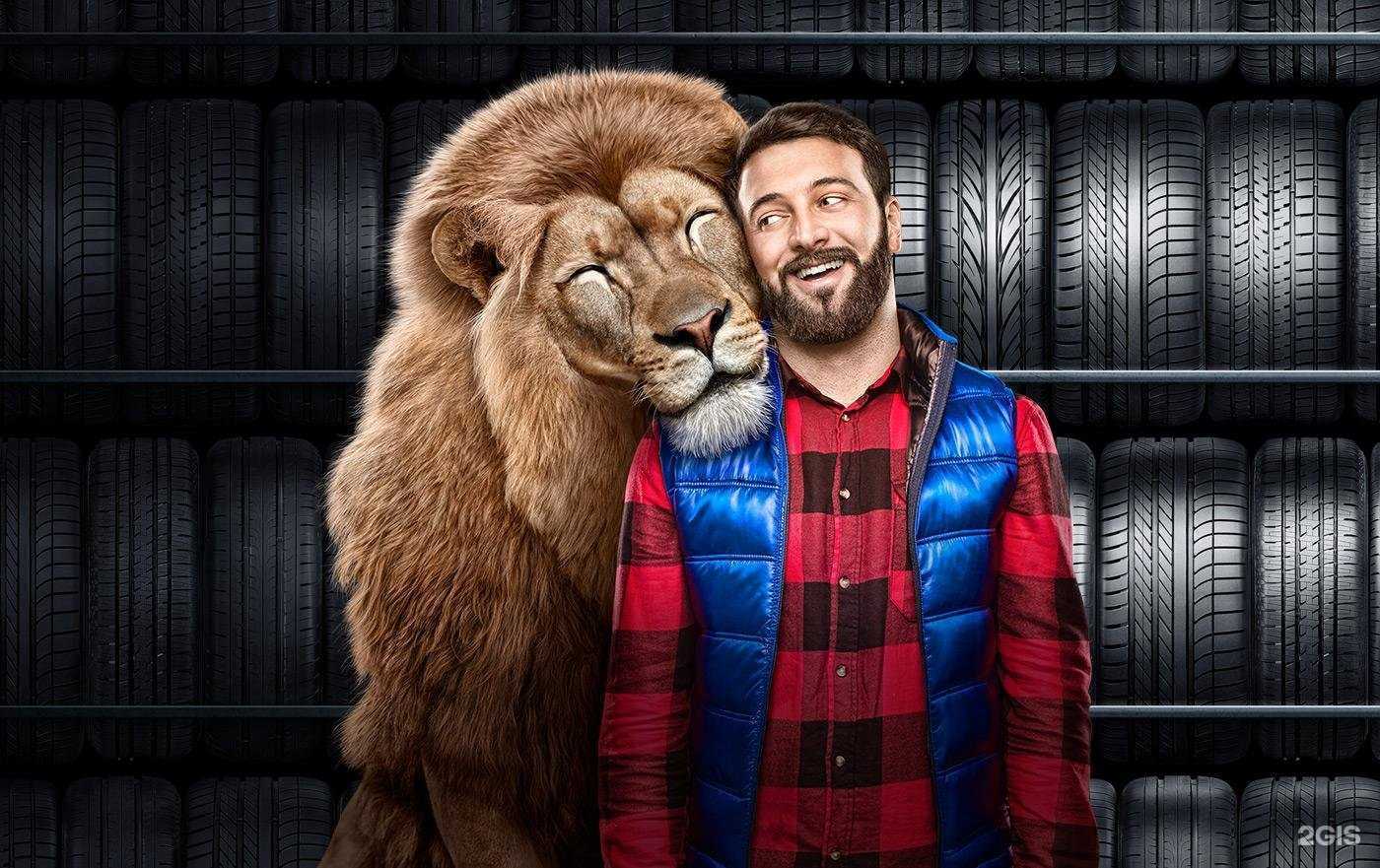 Отзывы на компанию 700 шин в г. Элиста c фото