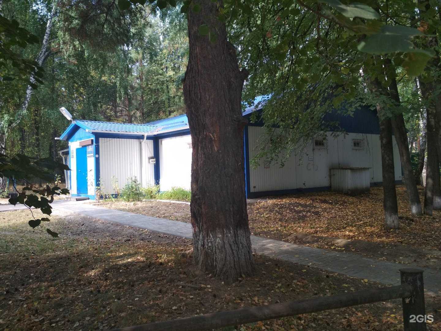 Отзывы на компанию Спортивная школа №2 г. Тюмени в Тюмени c фото - фотография 2 из 2