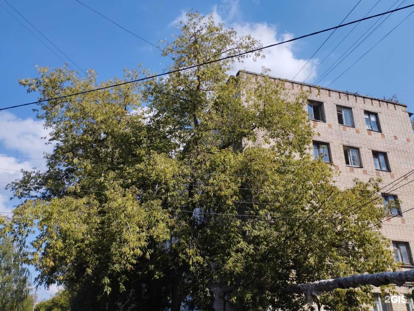 Отзывы на компанию MiraHoodSound в г. Арзамас c фото