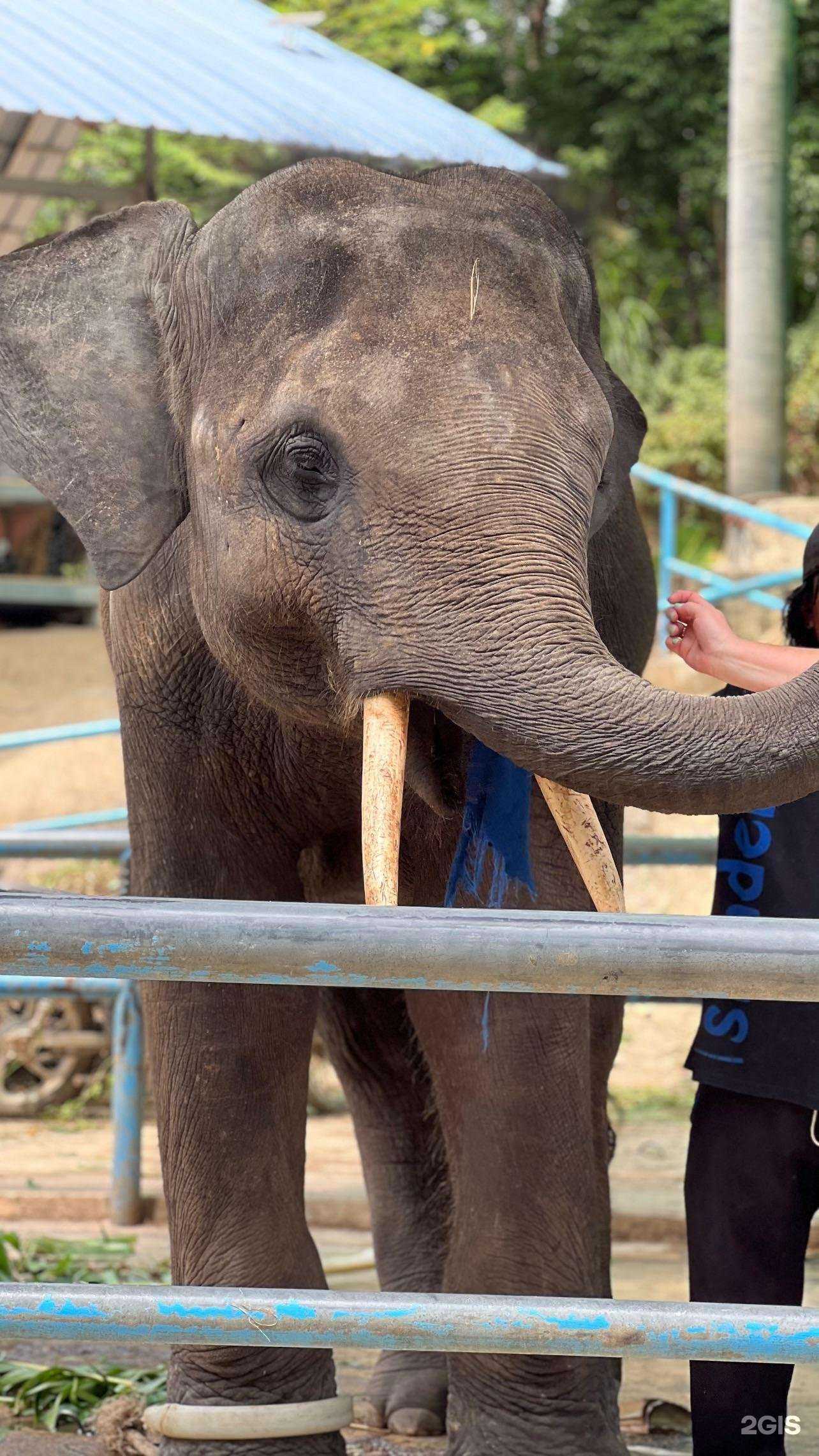 Отзывы на компанию Чемоданное Настроение в г. Ижевск c фото