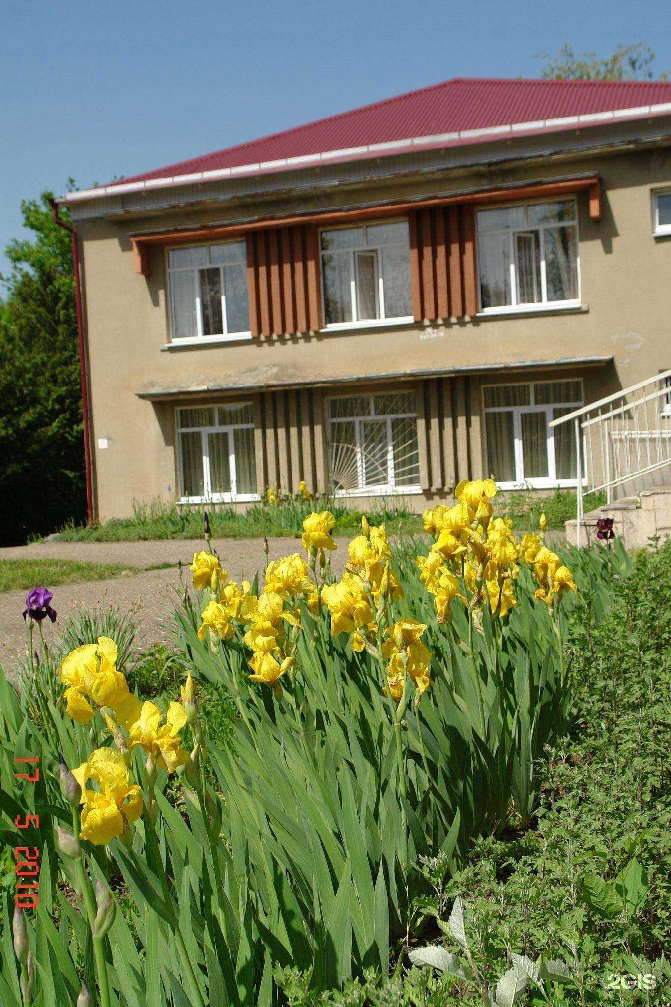 Отзывы на компанию Семицветик в Кисловодске c фото