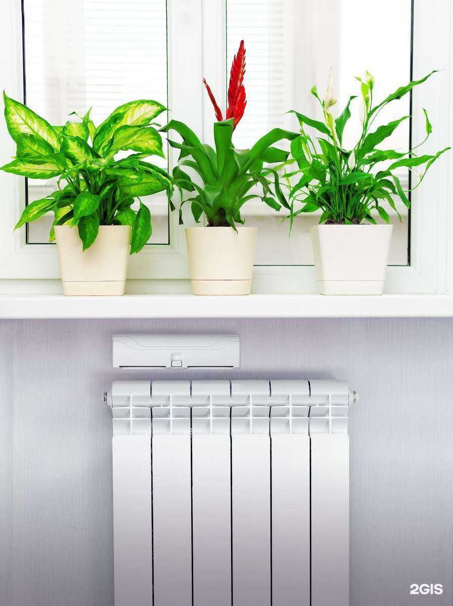 Отзывы на компанию Окна Бурятии в Улан-Удэ c фото