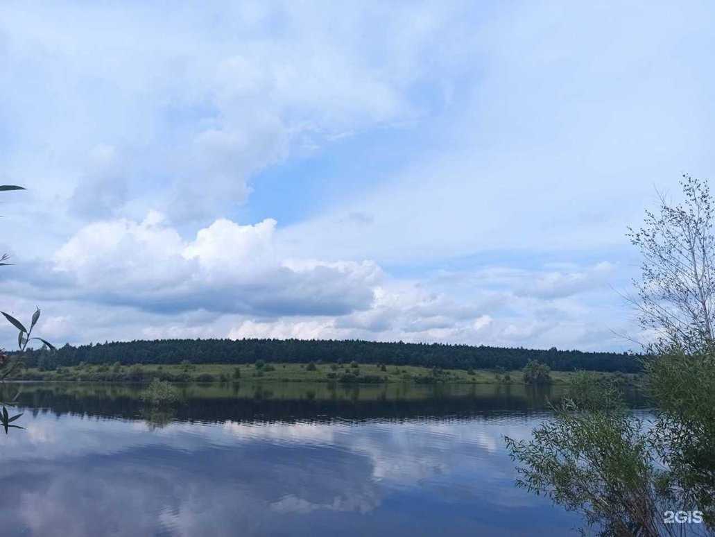 Отзывы на компанию Елецкая районная станция по борьбе с болезнями животных в Елеце c фото