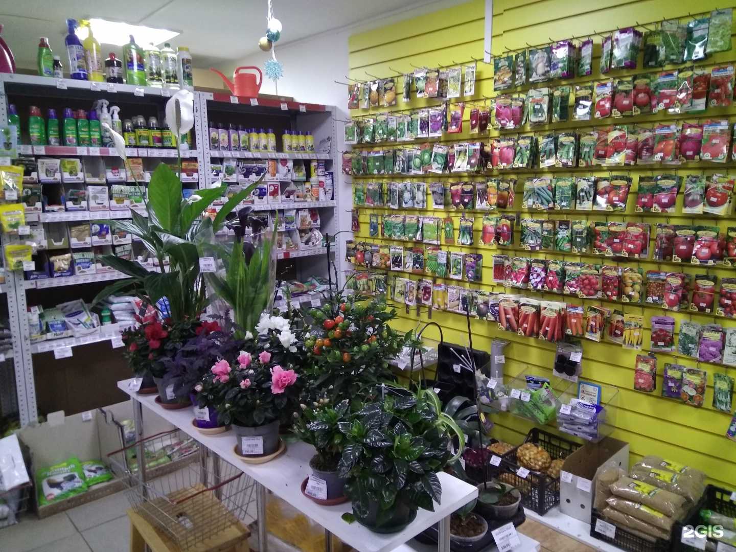 Отзывы на компанию Магазин семян в г. Фрязино c фото