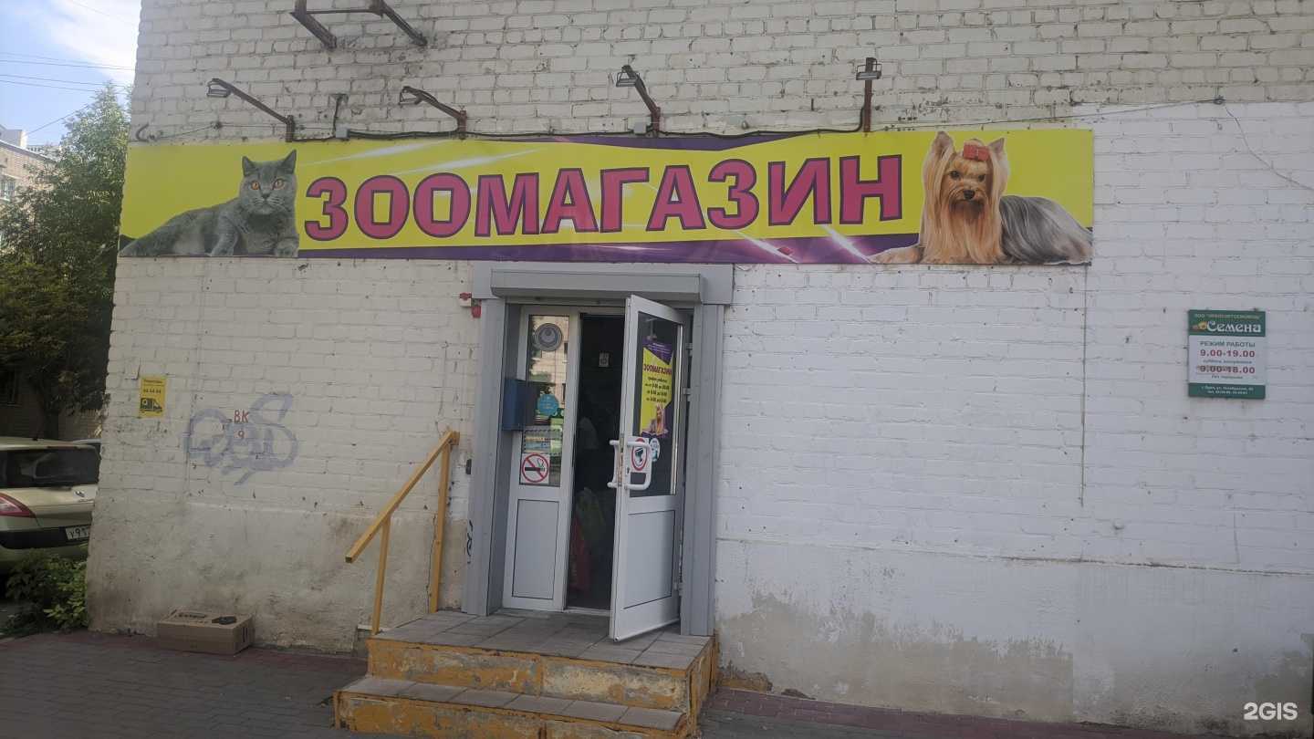 Отзывы на компанию Зоомагазин в г. Орёл c фото