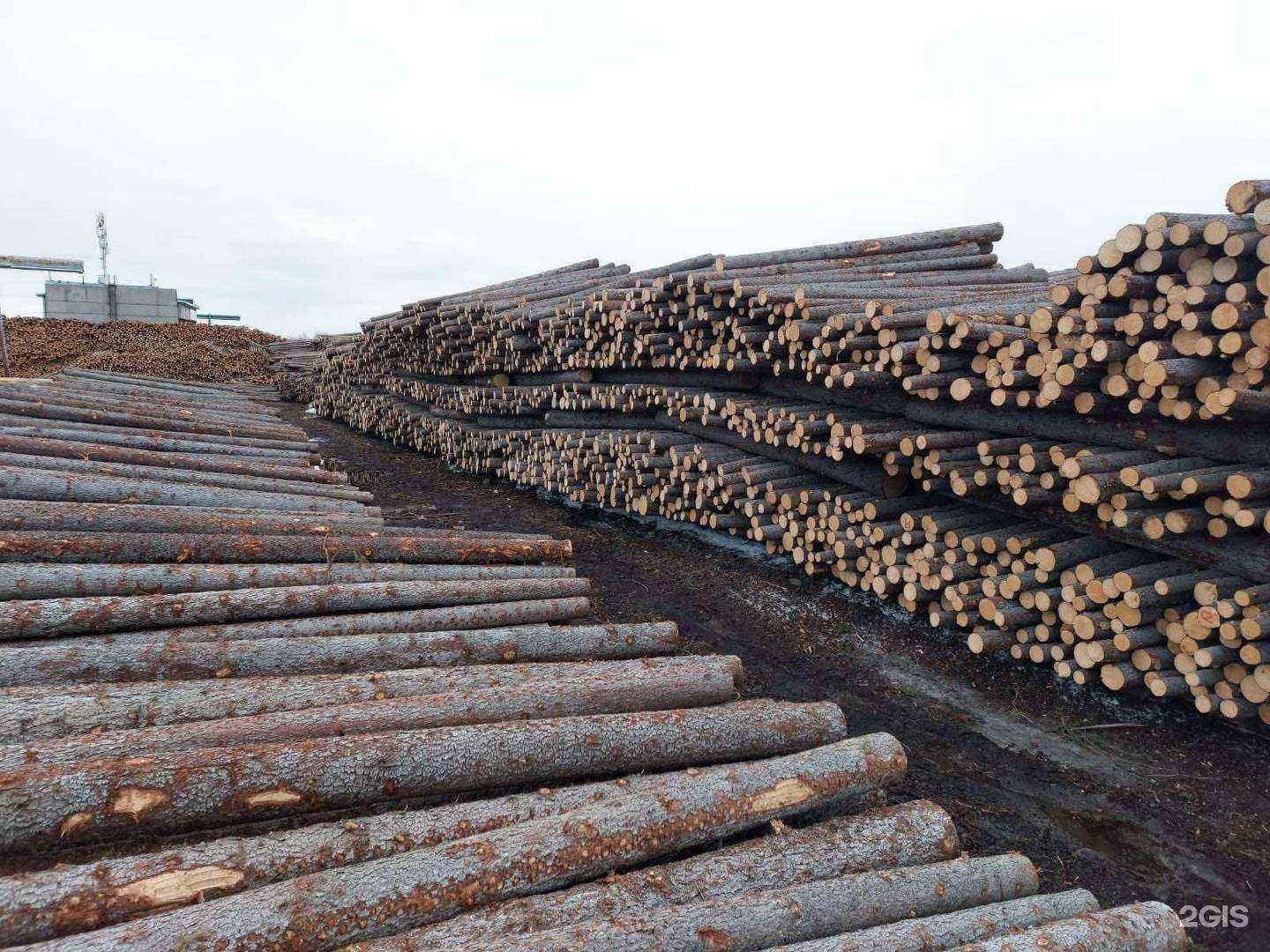 Отзывы на компанию ВУДПРОМ в Архангельске c фото