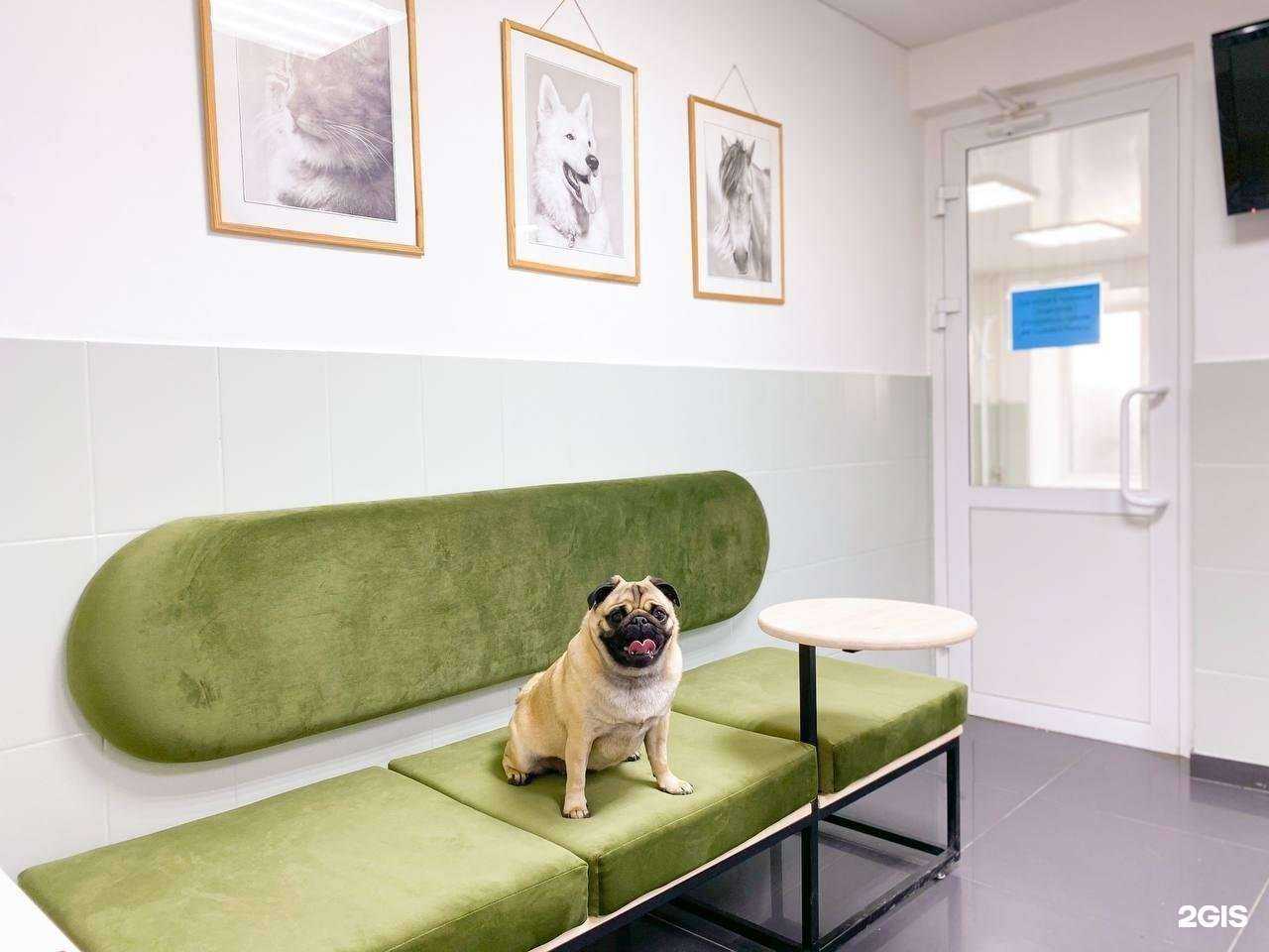 Отзывы на компанию Vetman в г. Ижевск c фото