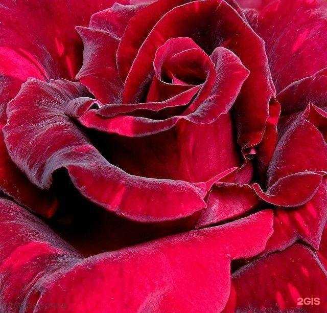 Отзывы на компанию Канцлер в Воронеже c фото