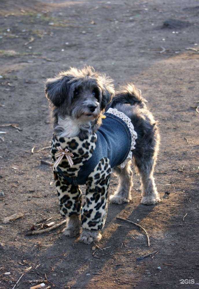 Отзывы на компанию Blackcat dom в Новосибирске c фото