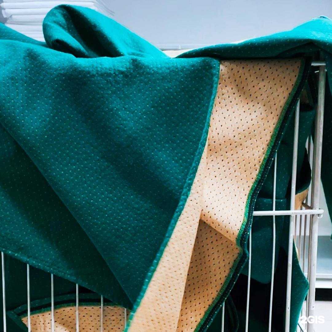 Отзывы на компанию Химчистка и прачечная в г. Казань c фото