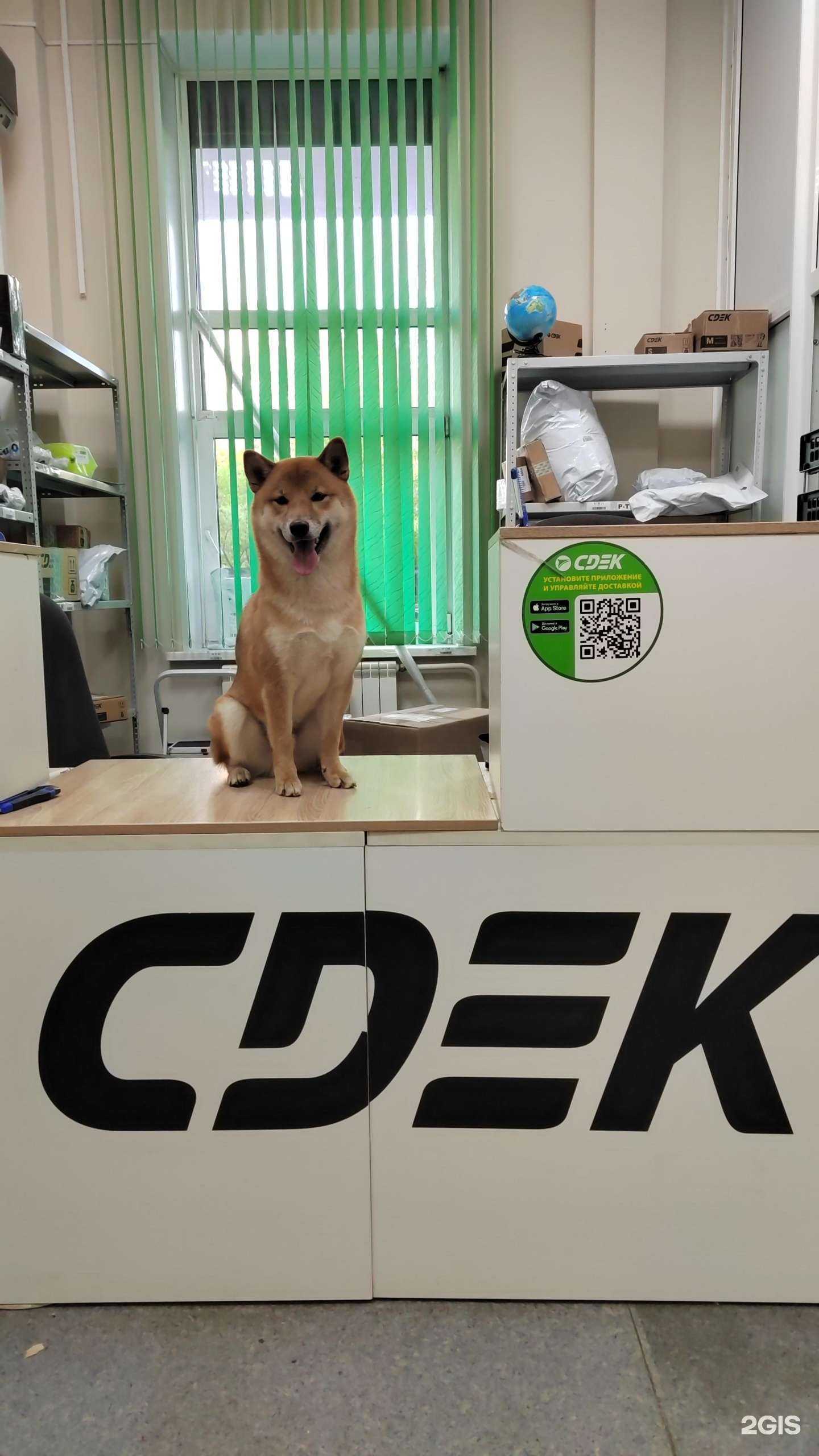 Отзывы на компанию CDEK в г. Красноярск c фото