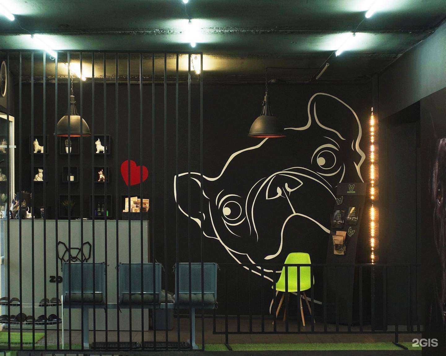 Отзывы на компанию Zooroom в Новокузнецке c фото