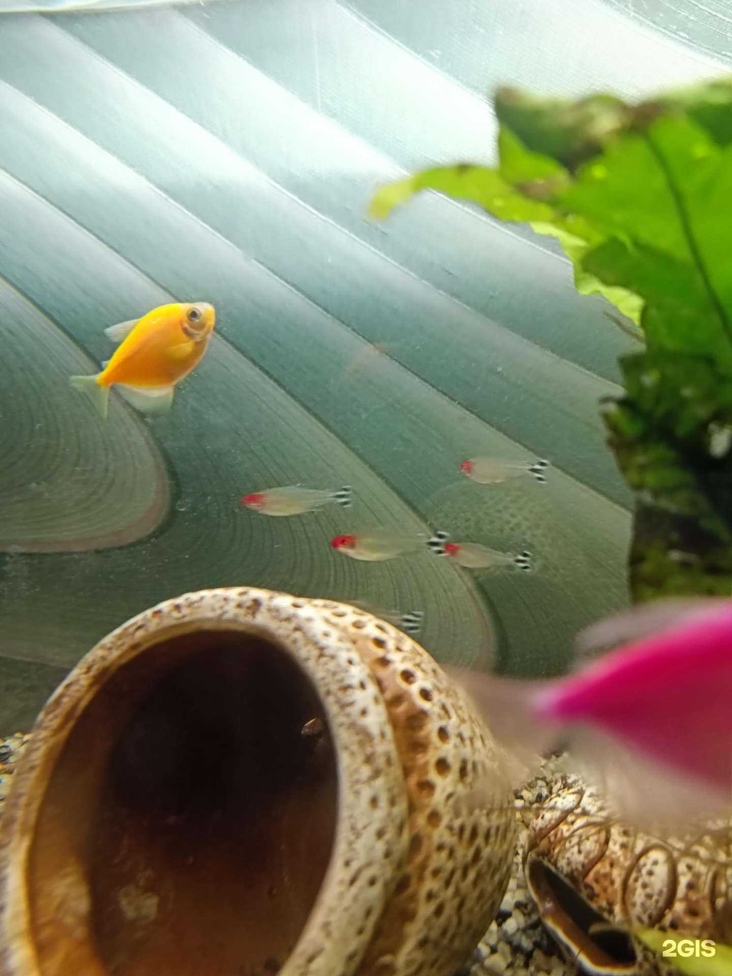 Отзывы на компанию L-fish в г. Воронеж c фото