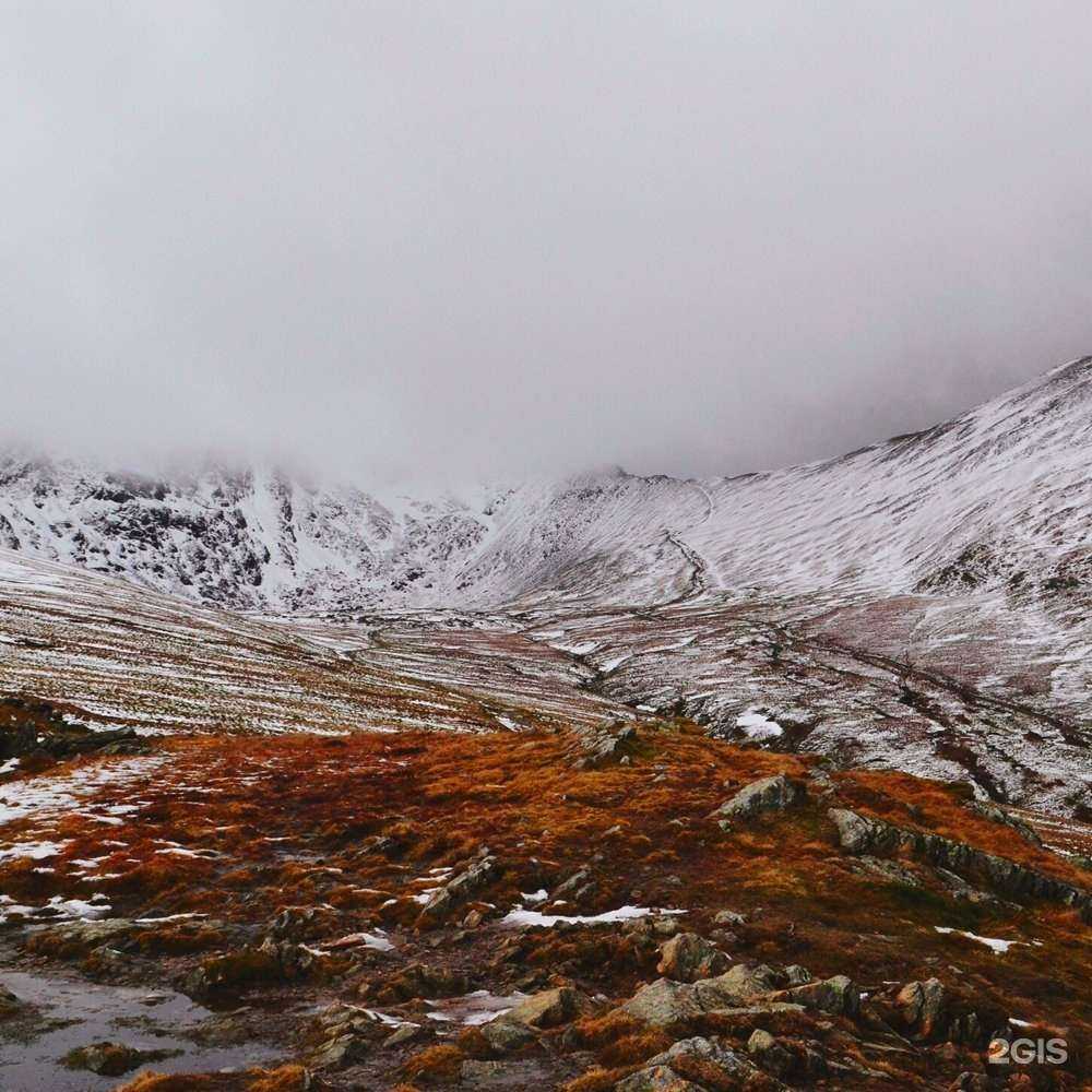 Отзывы на компанию Seti в г. Одинцово c фото