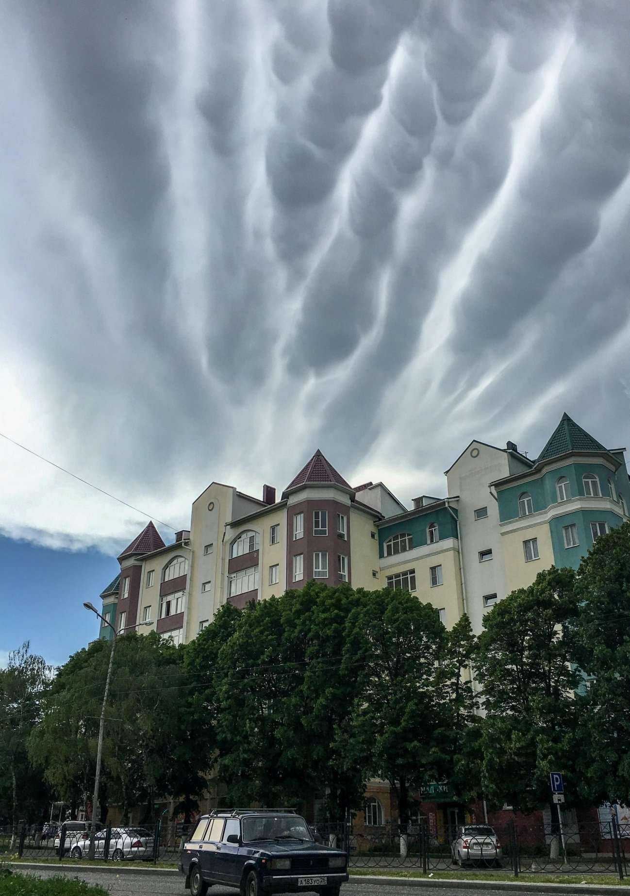 Отзывы на компанию Sushistyle в Железноводске c фото - фотография 2 из 2