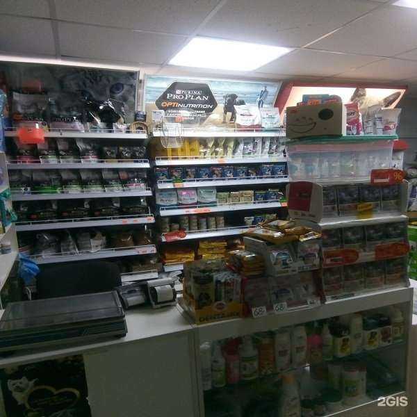 Отзывы на компанию Хомячок в Казани c фото