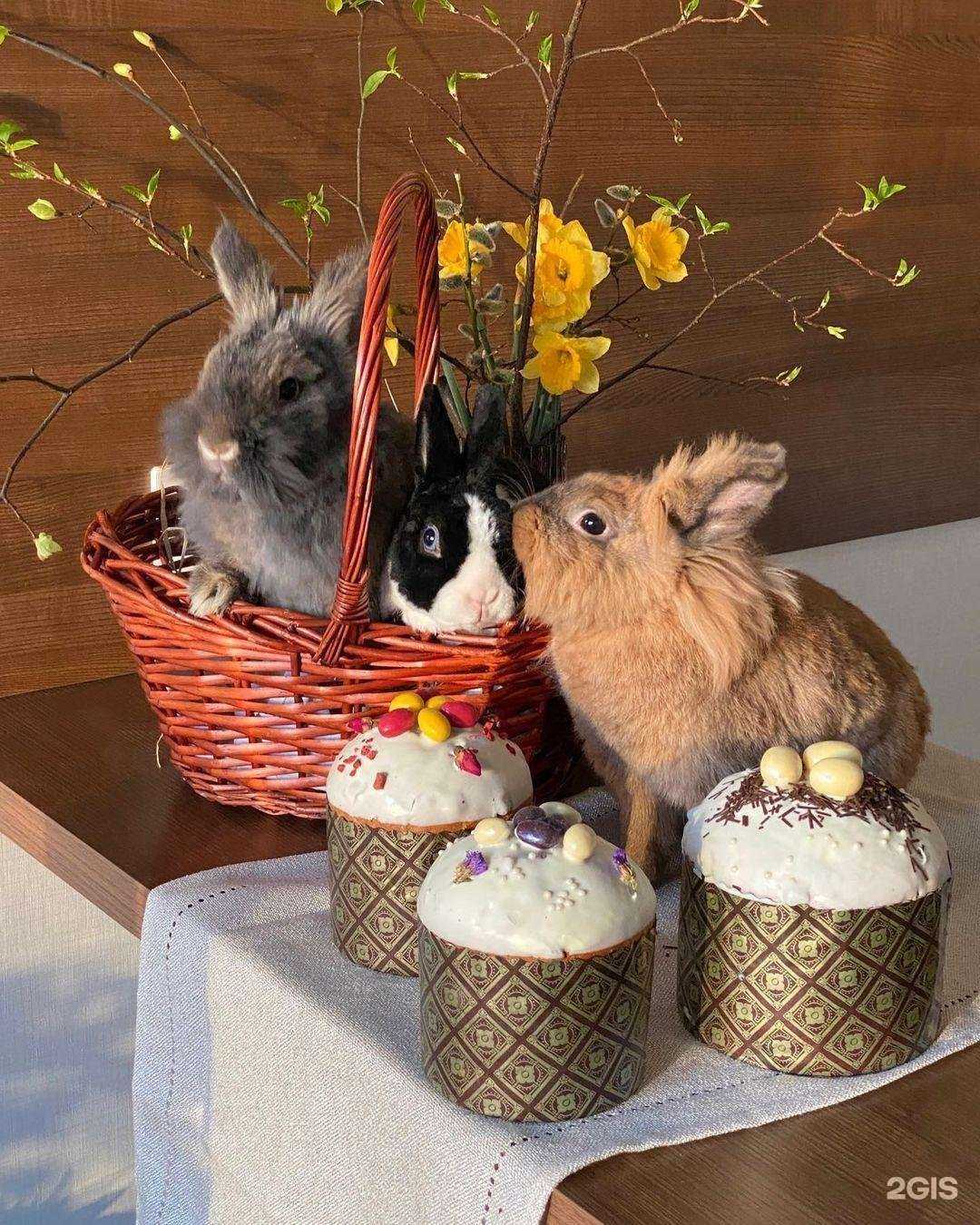 Отзывы на компанию Самокат в Зеленодольске c фото