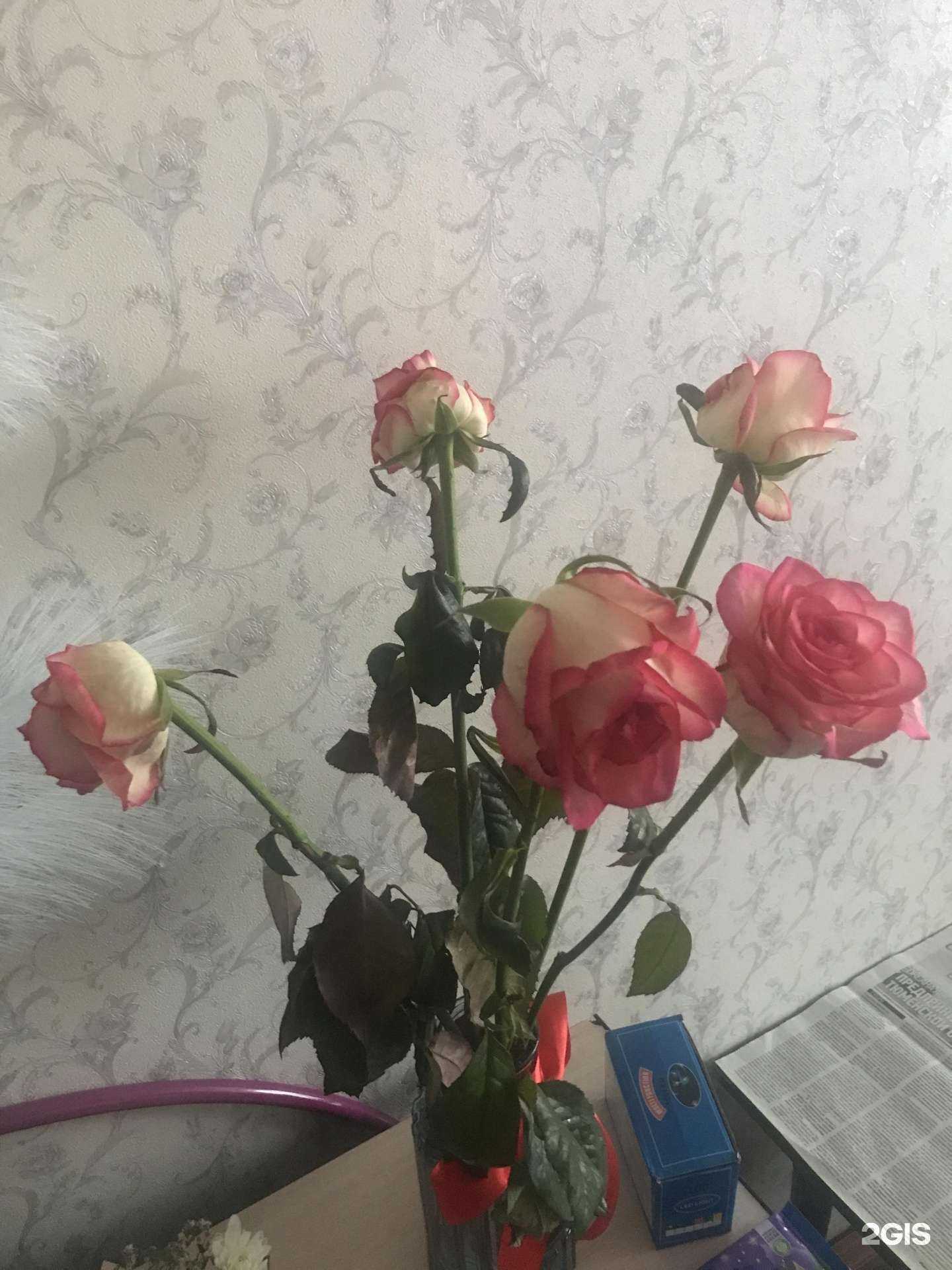 Отзывы на компанию Букет в г. Тюмень c фото