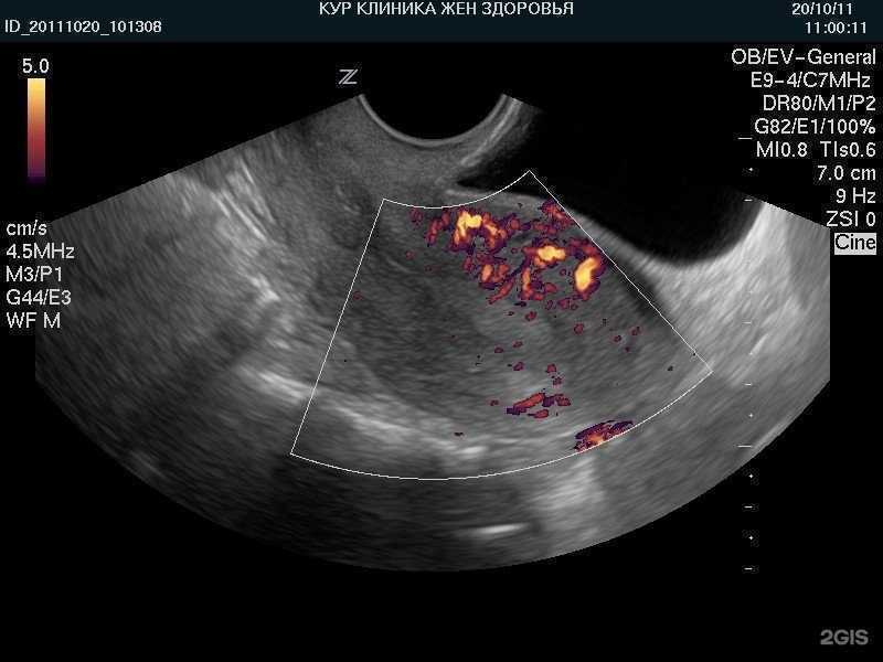 Отзывы на компанию Курортная клиника женского здоровья в г. Пятигорск c фото