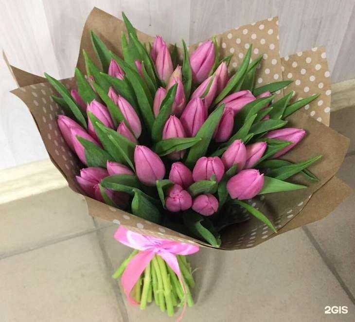 Отзывы на компанию Элегия в г. Екатеринбург c фото