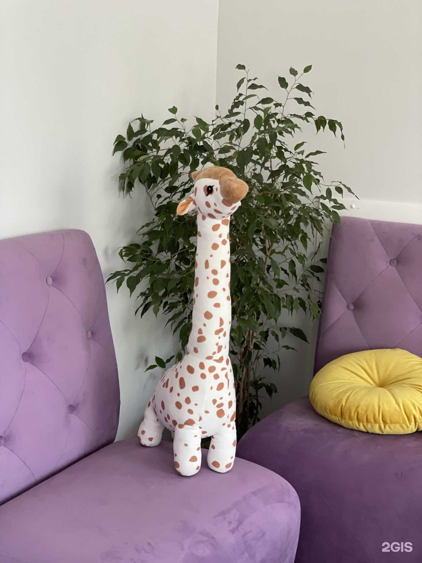 Отзывы на компанию Астракидс в Ростове-на-Дону c фото